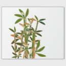 Search for isolated wrapping paper White