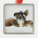 Search for goldfish christmas tree decorations Animal