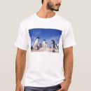 Search for antarctica tshirts Coast