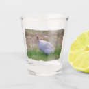 Search for fowl barware Animal