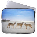 Search for tail laptop cases Beach