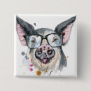 Search for eyeglasses badges Animal