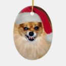 Search for pomeranian christmas tree decorations Funny