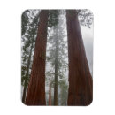Search for danita delimont magnets Judith zimmerman