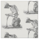 Search for skeleton fabric Skull