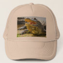Search for alligator hats Animal