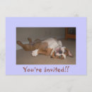 Search for funny business party invitations Kids