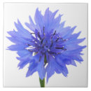 Search for cornflower blue tiles Nature