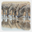 Search for namibia stickers Landscape