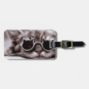 Search for alive accessories Cat
