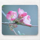 Search for tree blossoms mousepads Summer