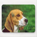 Search for beagles mousepads Pet
