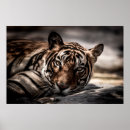 Search for angry tiger posters Portrait