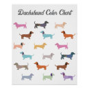 Search for sausage dog art Funny