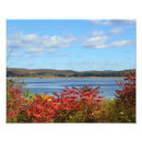 Search for sumac Nature