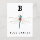 Search for entomology postcards Illustration