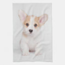 Search for corgi tea towels Canine