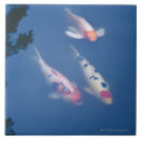Search for japanese koi tiles Outdoors