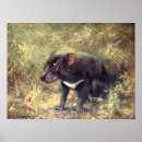 Search for tasmanian devil posters Australia