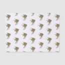 Search for basin gift wrap River