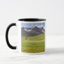 Search for scenic mugs Flowers