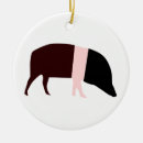 Search for saddleback Pigs