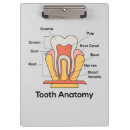 Search for tooth clipboards Teeth