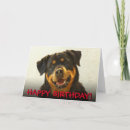 Search for rottweiler birthday cards Funny