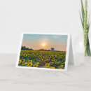 Search for fields cards Blank