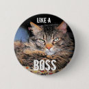 Search for chillin badges Cat