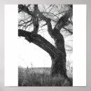 Search for tree bark art Winter