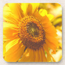 Search for cheerful photography Sunny