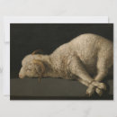 Search for sacrificial lamb Lamb of god