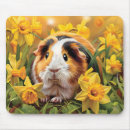 Search for guinea pig mousepads Cavies