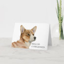 Search for funny hello cards Dog