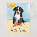 Search for berner sennenhund postcards Bernese mountain dog