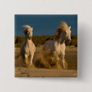 Search for mediterranean badges France