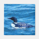 Search for loons magnets Nature