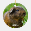 Search for small rodents christmas tree decorations Animal lover