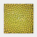 Search for seeds magnets Pattern