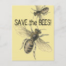 Search for extinction postcards Vintage