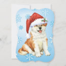 Search for akita christmas cards Puppy