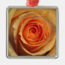 Search for yellow rose christmas tree decorations Flower