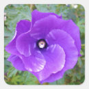 Search for deep purple stickers Flower