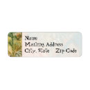 Search for ferns return address labels Nature