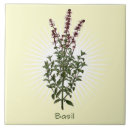 Search for basil home living Vintage