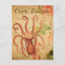 Search for octopus illustration postcards Squid
