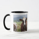 Search for grazing cows mugs Animal