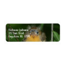 Search for oriole return address labels Nature