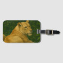 Search for lioness accessories Big cat